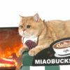Café Cardboard Cat House