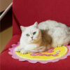 Beer Cap Cooling Mat For Cats