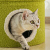 Super Cannibal Flower Cat Tree