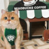 Café Cardboard Cat House