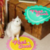 Beer Cap Cooling Mat For Cats