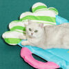 Colorful Beer Pet Cooling Mat
