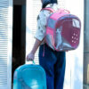 Square Clear Cat Carrier